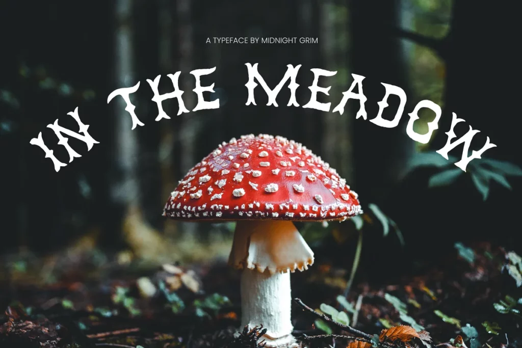 In The Meadow - Whimsical Font