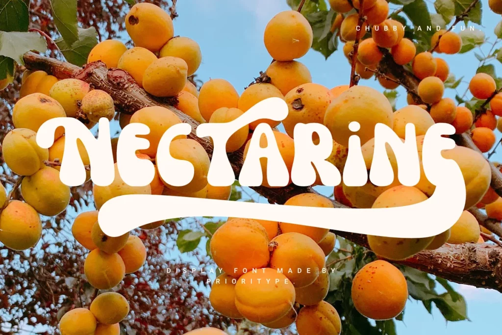 Nectarine - Quirky Font