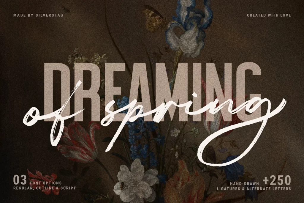 Dreaming of Spring Stylish - Spring Font